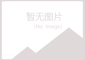 平定县尔岚会计有限公司